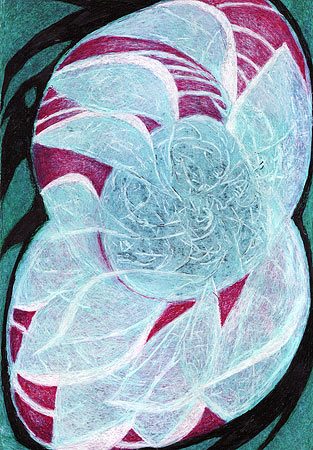 Scan8 14